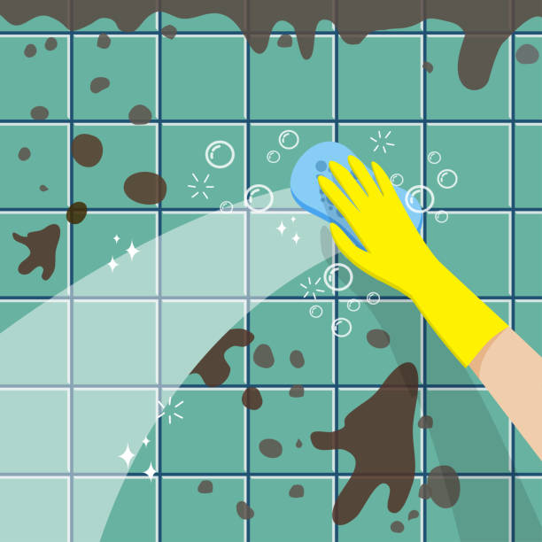 Floor & Surface Care